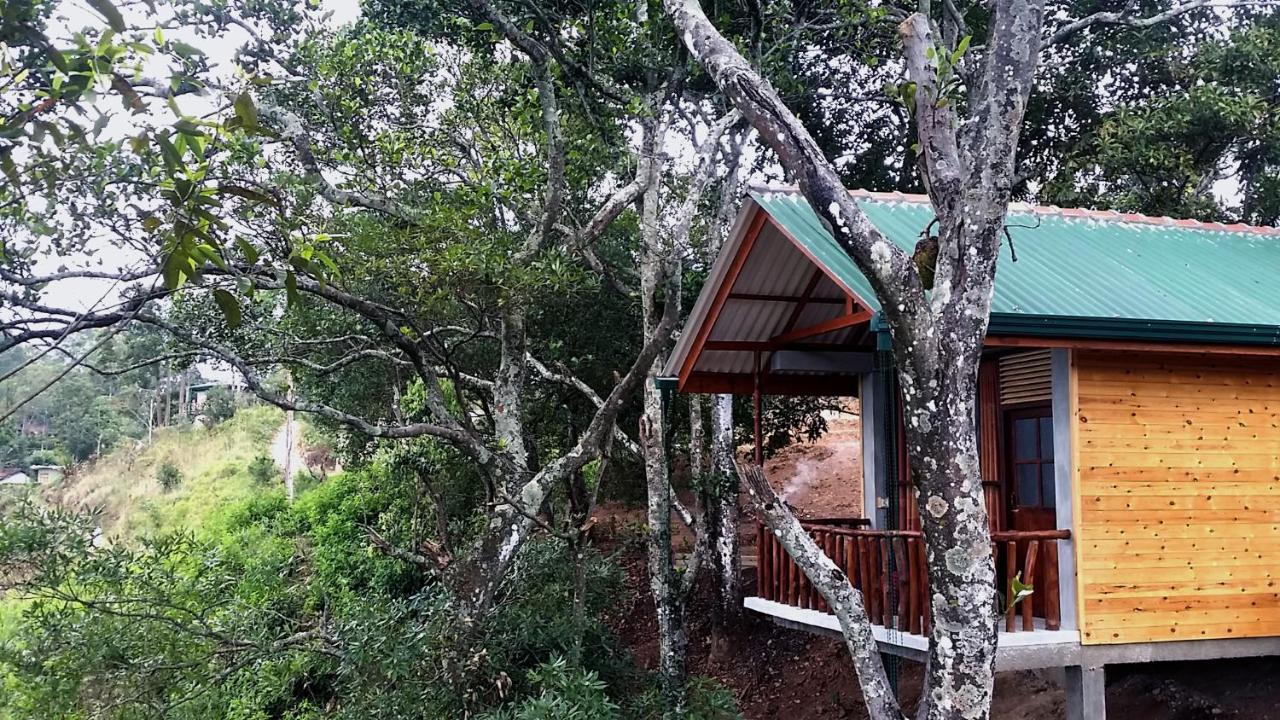 Saffron Eco Cottage Ella Exterior photo